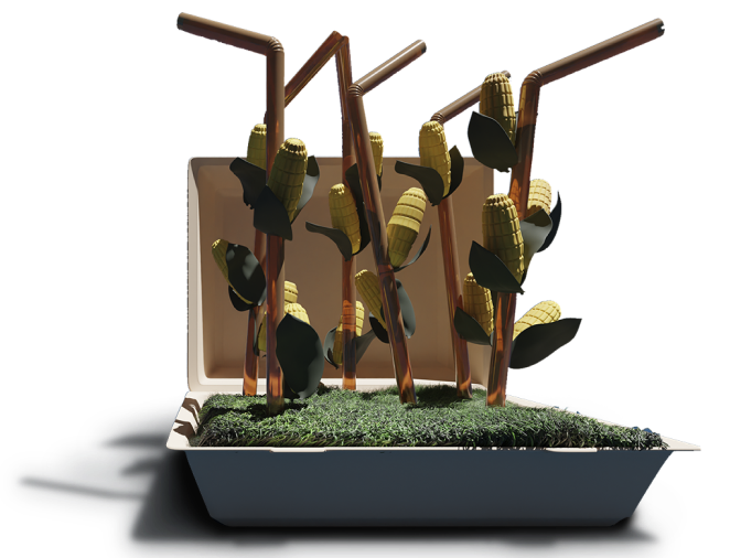 Popotes sustentables